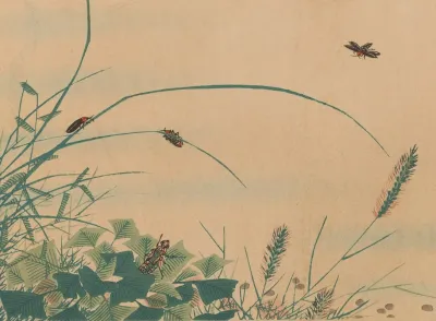 Chuka Senzen Pl 06