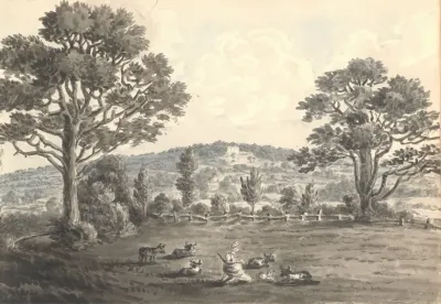 Clayberry From Field May 1829