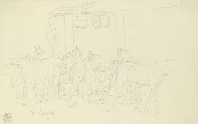 Cleaning The Horses In The Camp