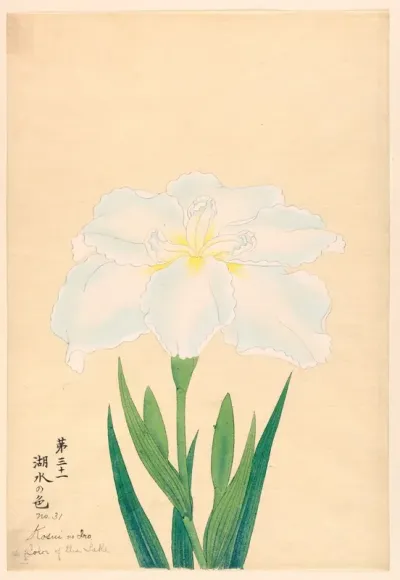 Color Of The Lake Kosui No Iro