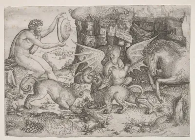 Combat Of Animals