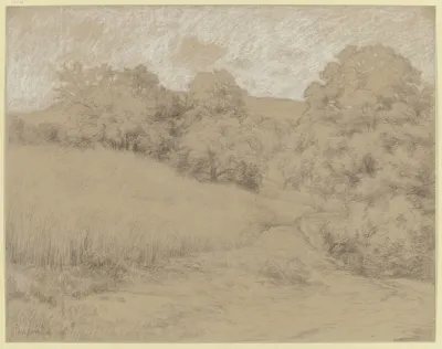 Cornfield At The Forest