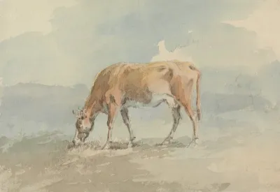 Cow Grazing 2