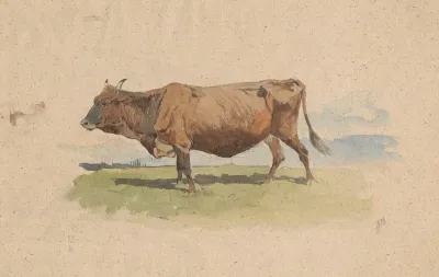 Cow In Pasture