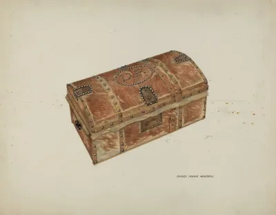 Cowhide Trunk