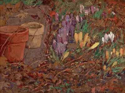Crocuses
