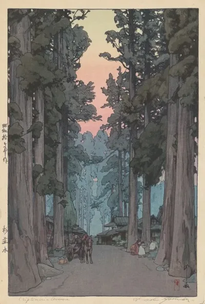 Crytomeria Avenue Sugi Namiki