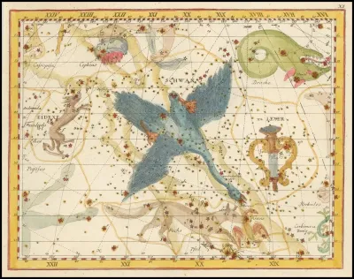 Cygnus Lacerta And Lyra