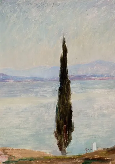 Cypress From The Journey To Constantinople