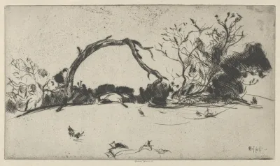Cypress Study No 1