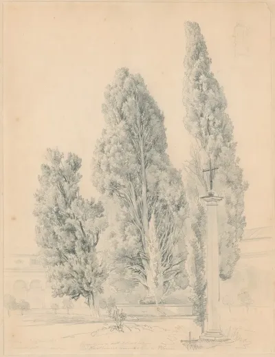 Cypresses In The Convento Della Comandule In Rome