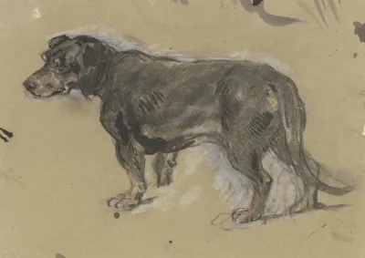 Dachshund To The Left