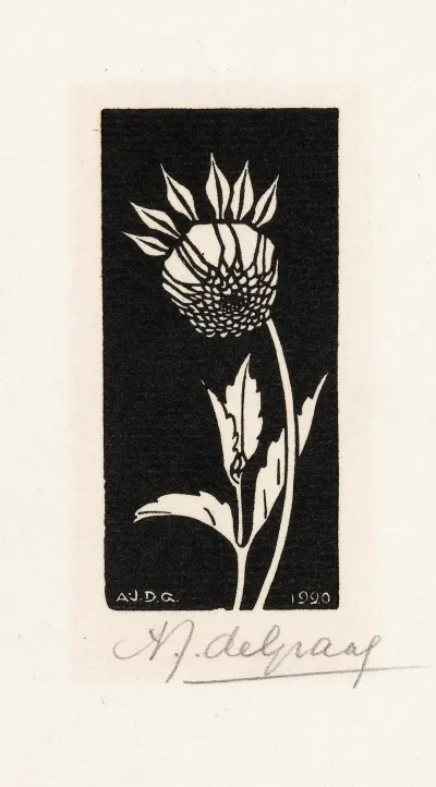 Dahlia