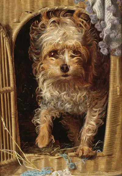 Darby In His Basket Kennel