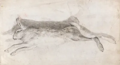 Dead Hare 2