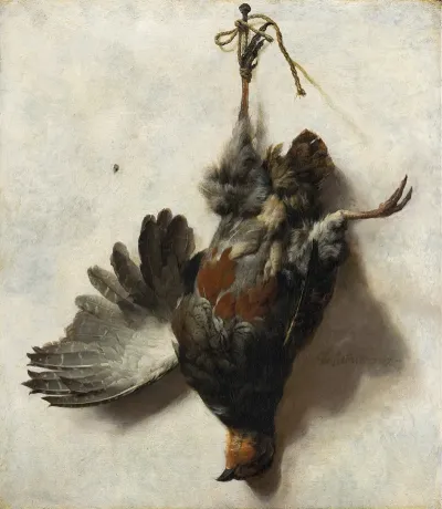 Dead Partridge Hanging From A Nail