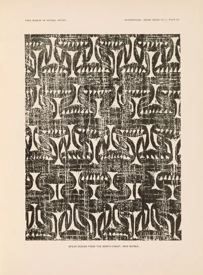 Decorative Art Of New Guinea Pl 18