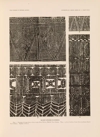 Decorative Art Of New Guinea Pl 24