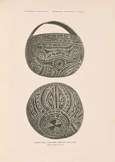 Decorative Art Of New Guinea Pl 44