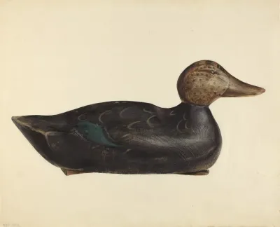 Decoy 5