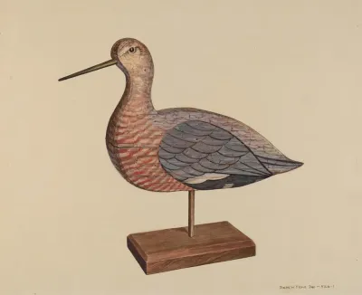 Decoy Hudsonian Godwit