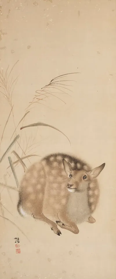 Deer 3