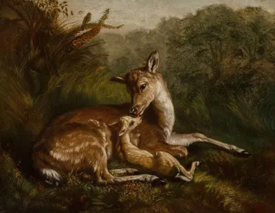 Deer And Fawn