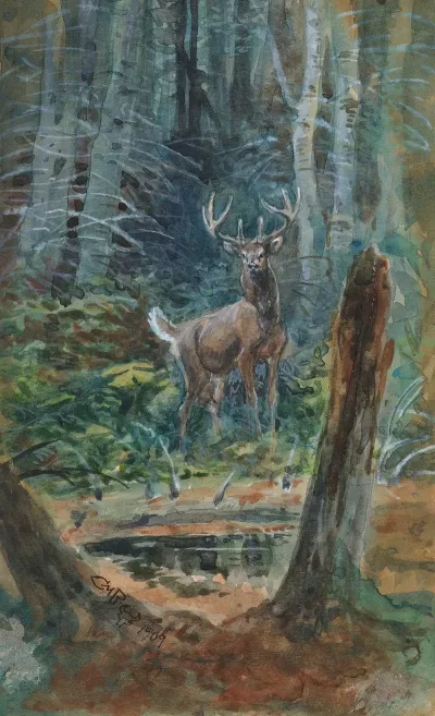 Deer In The Dell