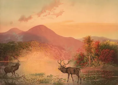 Deers Retreat