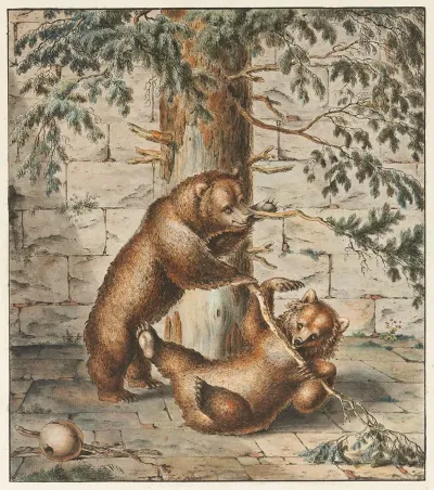 Der Barengraben In Bern