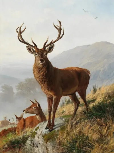 Der Kapitale Hirsch