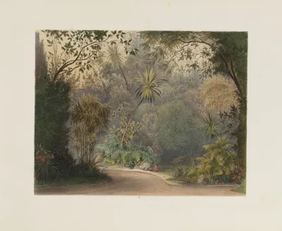 Der Wintergarten In Der Kaiserlichen Koniglichen Hofburg Zu Wien Pl 05