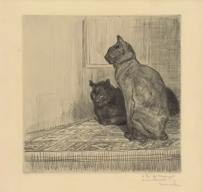 Deux Chats Cote A Cote