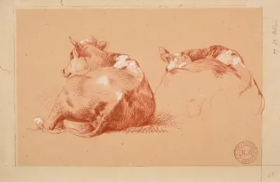 Deux Etudes De Vache Couchee