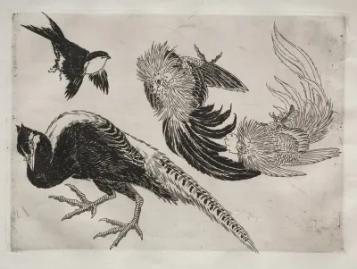 Dinner Service Rousseau Service Pheasants And Bird No 18