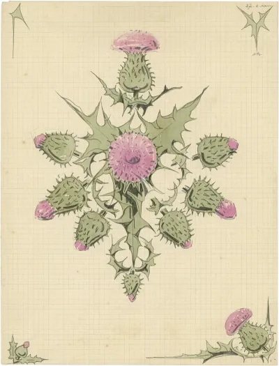 Distel 2de Soort 8