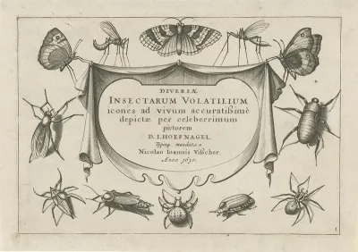 Diversae Insectarum Volatilium Pl 01