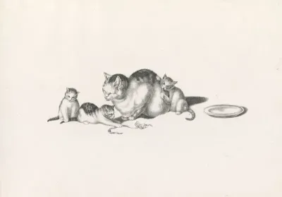 Domestic Cat Napping With Three Playful Kittens And A Saucer On The Right
