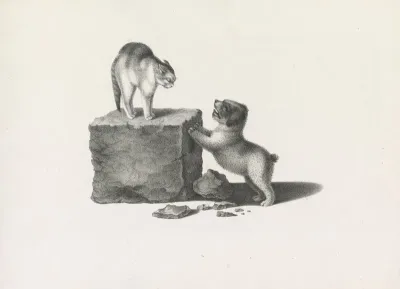 Domestic Cat Standing On A Block And A Puppy With Its Front Paws On The Block