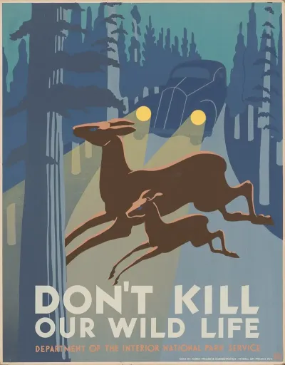 Dont Kill Our Wild Life