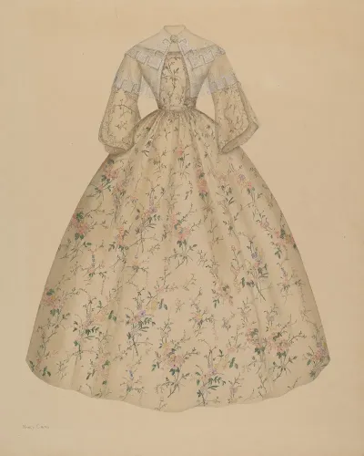 Dress With Cape Collar 2