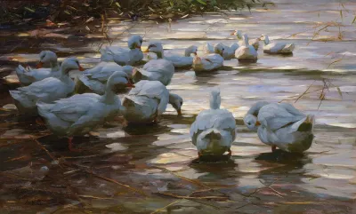 Ducks In A Pond