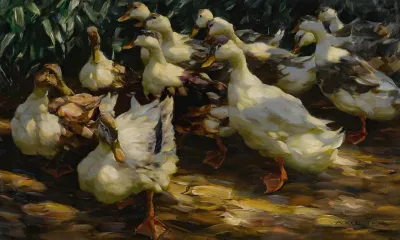 Ducks In Sunlight 2