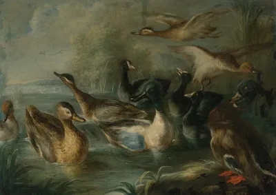 Ducks On The Pond