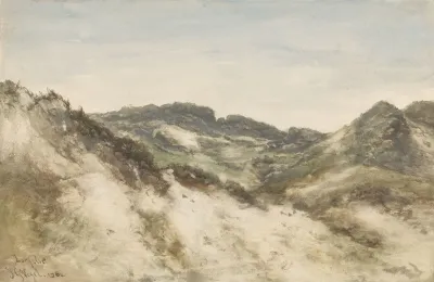 Duinlandschap Bij Zorgvliet