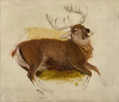 Dying Stag