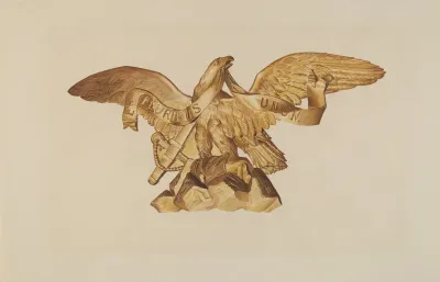 Eagle From Uss Enterprise
