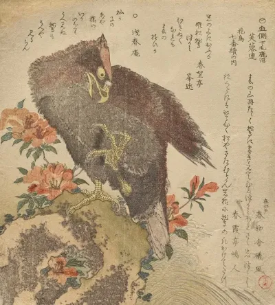 Eagle With An Upraised Claw On A Rock By An Azalea Bush