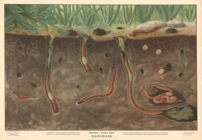 Earthworm 2