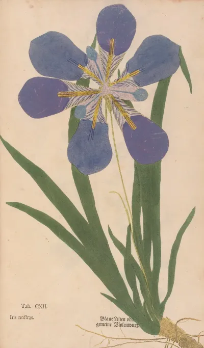 Ectypa Vegetabilium Pl 112